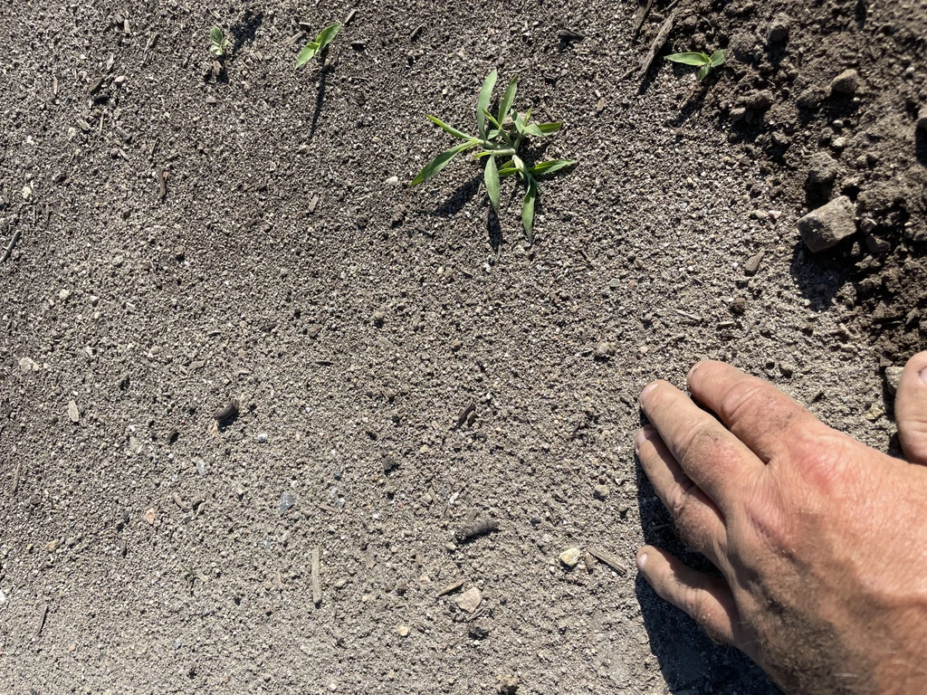 Aménagement paysager sol argileux Cantley Gatineau