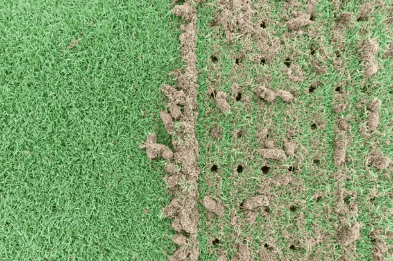 aeration dechaumage pelouse compaction sol gazon gatineau