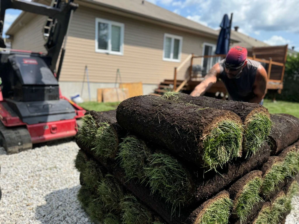 Choix semences et gazon sol argileux Aylmer Gatineau