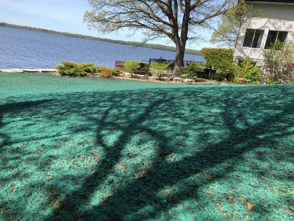 Ensemencement hydraulique hydroseeding pelouse Aylmer Gatineau