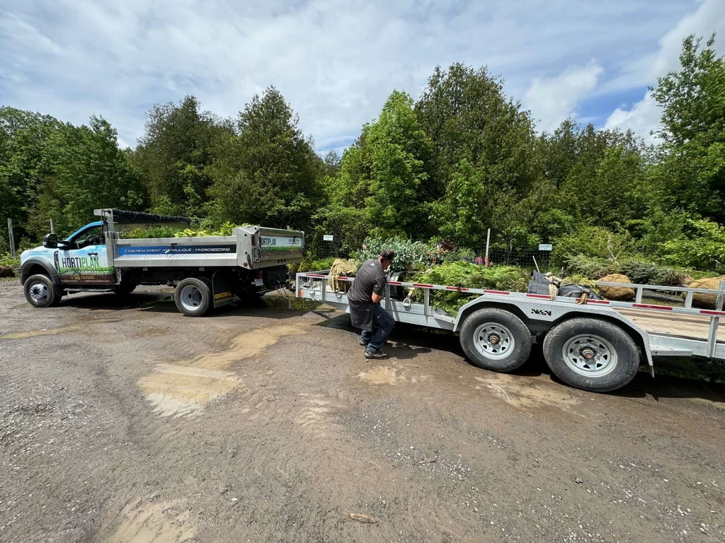 Semences et végétaux terrain naturel Chelsea