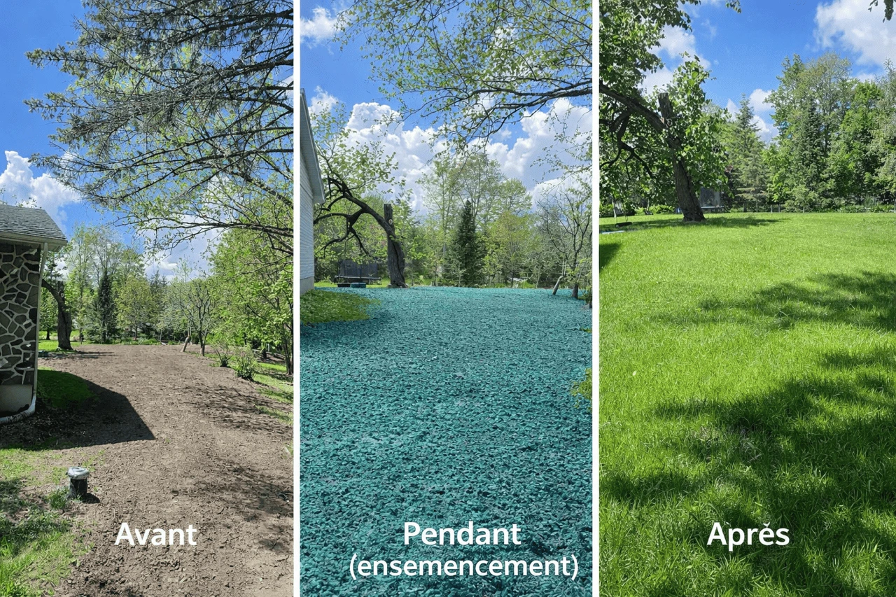 avant pendant apres ensemencement hydraulique pelouse Gatineau