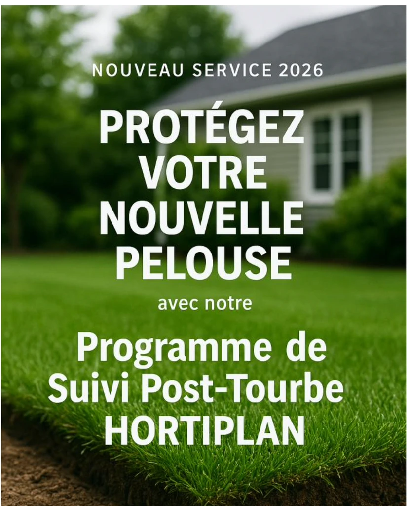 entretien tourbe apres installation pelouse Gatineau