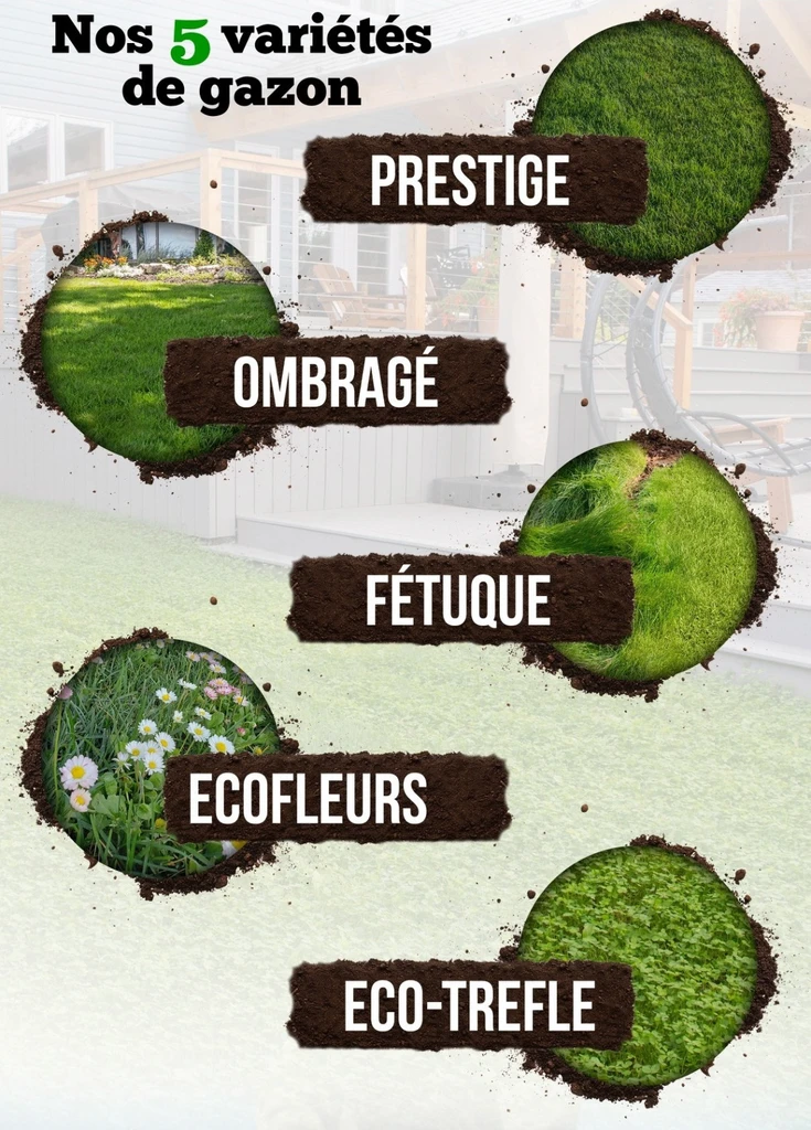 varietes gazon tourbe choix pelouse Gatineau Outaouais