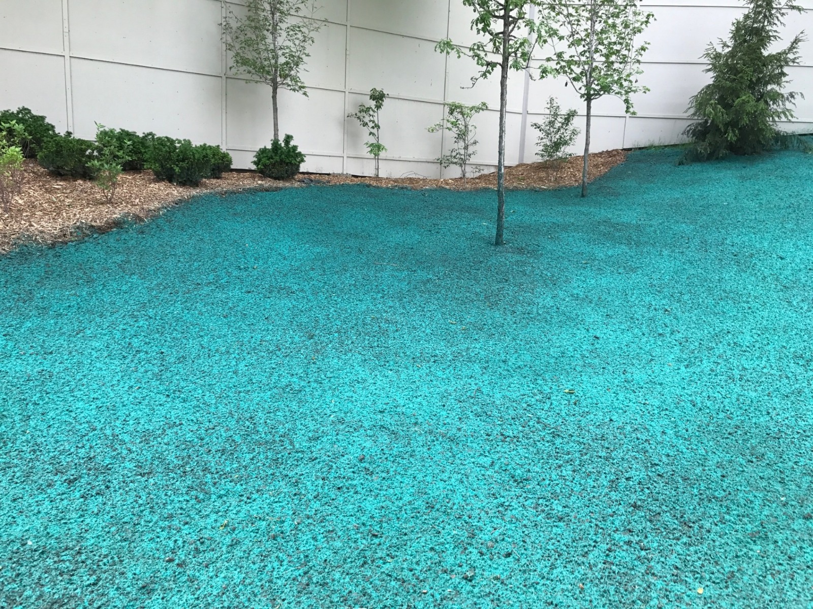 Surface complète traitée avec la technique d'ensemencement hydraulique (hydroseeding) à Cantley