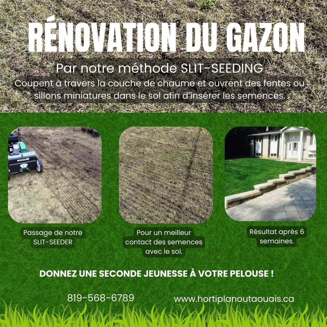 slit-seeding ensemencement par fentes pelouse en renovation gatineau