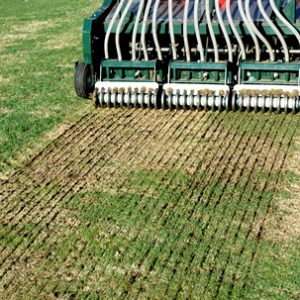 Slit-seeding et regarnissage de pelouse à Gatineau | Technique écologique pour ensemencement de  pelouse dense et résistante