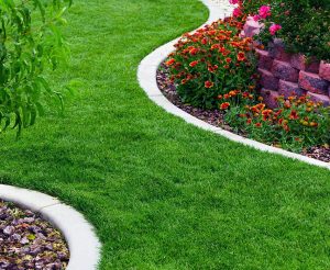Aménagement paysager, nouvelle pelouse verdoyante et bordure fleurie – Jardin écologique à Gatineau par Hortiplan Outaouais
