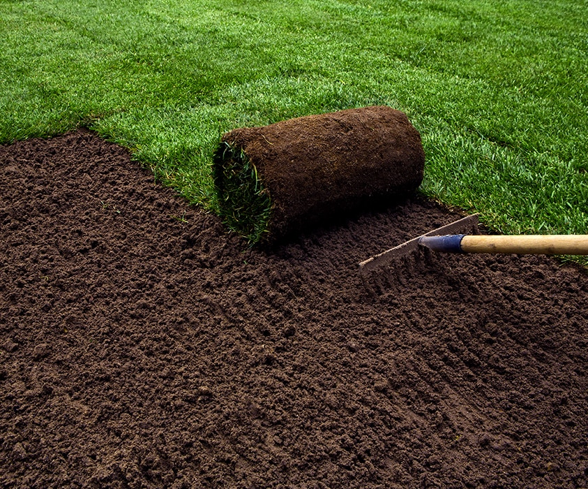 Installation de tourbe – Pose de gazon en rouleau pour une pelouse dense et verdoyante à Gatineau par Hortiplan Outaouais