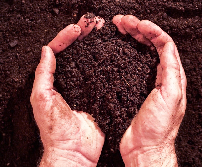 Sol fertile dans les mains – Compost & amélioration du sol pour un aménagement écologique | Hortiplan Outaouais