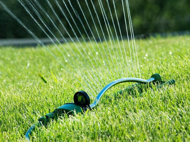 Arrosage écologique d’une pelouse verte & en santé – Conseils pour un entretien durable & efficace à Gatineau avec Hortiplan