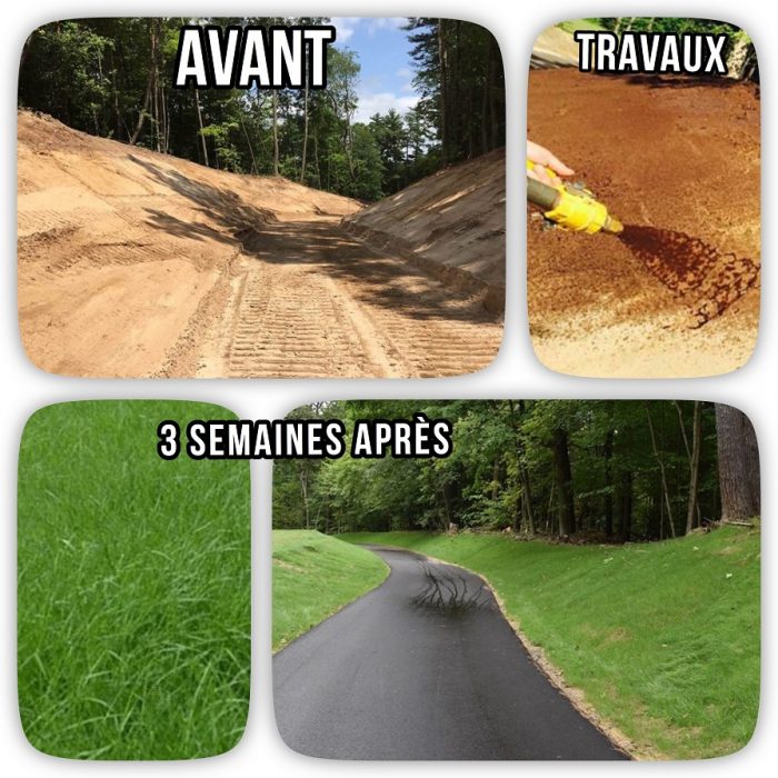 Hydroensemencement réussi par Hortiplan Outaouais – Avant, pendant et après 3 semaines, gazon dense et stabilisation des sols