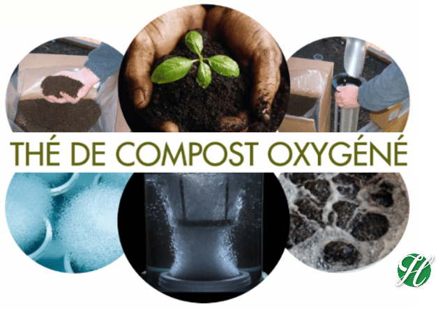 Thé de compost oxygéné : solution écologique pour enrichir le sol et revitaliser la pelouse avec Hortiplan Outaouais Gatineau