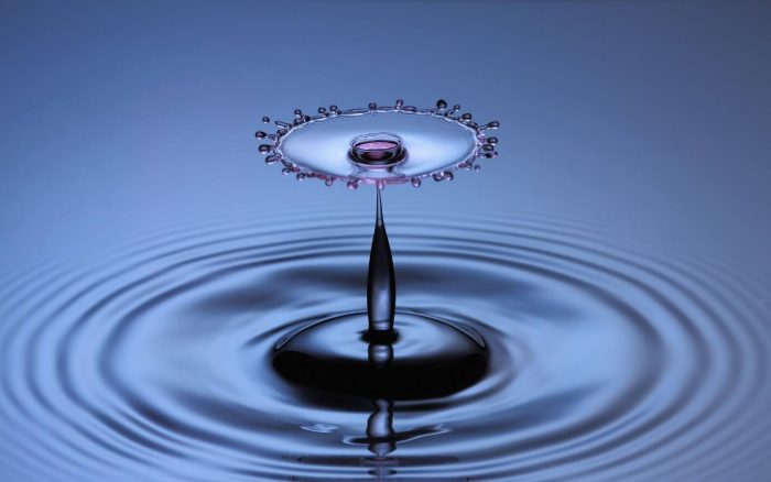 Gestion durable de l’eau – Source de vie pour l’entretien et l’aménagement paysager écologique par Hortiplan Outaouais