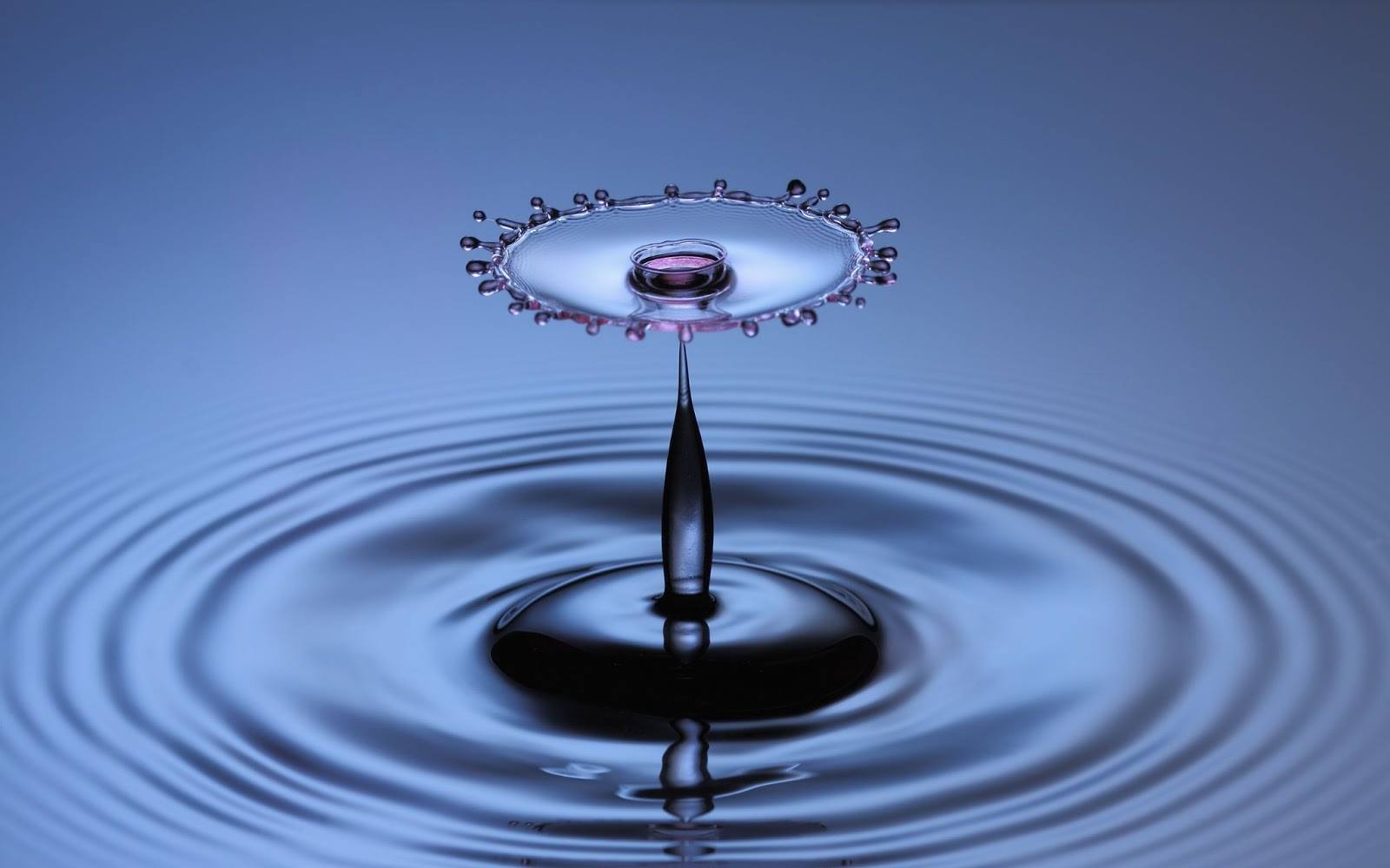 Gestion durable de l’eau – Source de vie pour l’entretien et l’aménagement paysager écologique par Hortiplan Outaouais