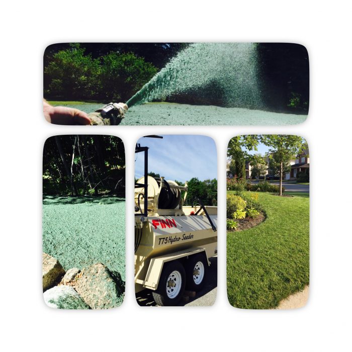 Travaux d'ensemencement hydraulique par Hortiplan Outaouais : solution rapide et efficace pour une pelouse dense et durable.