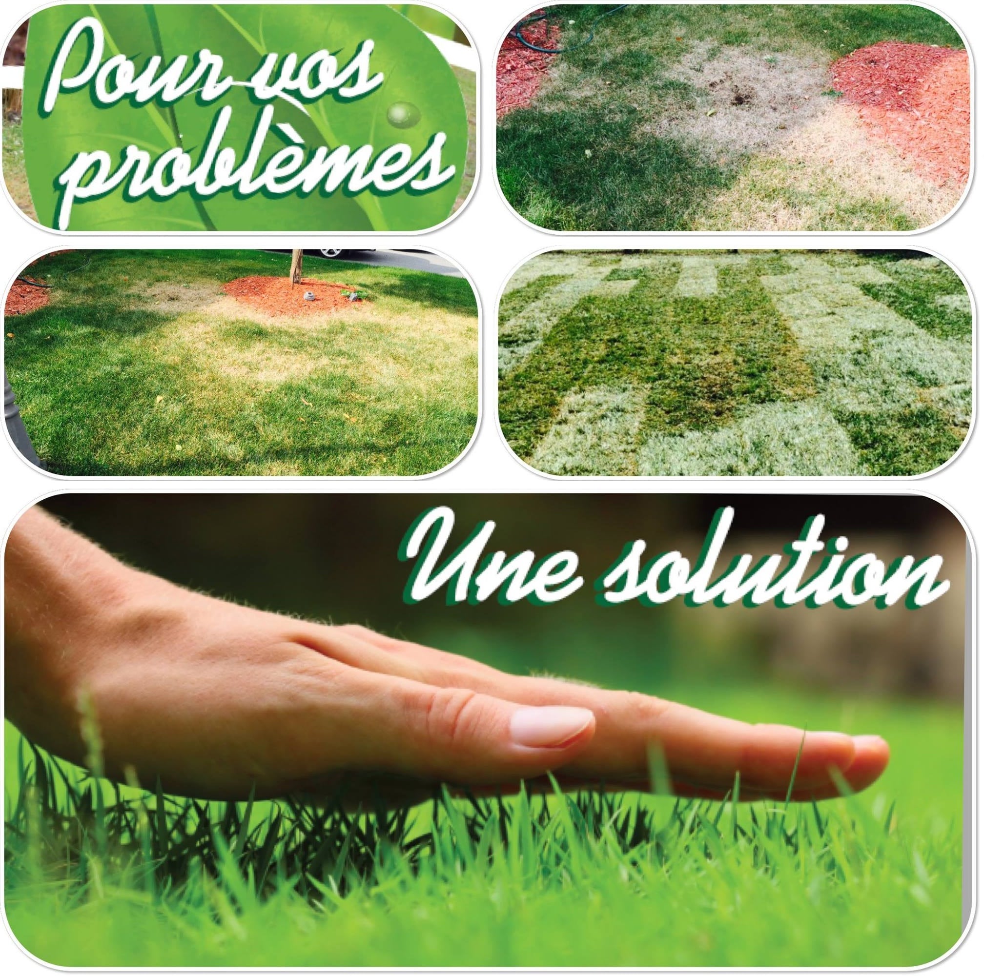 Pelouse jaunie & abîmée – Revitalisation écologique du gazon par Hortiplan Outaouais avec amendement & entretien spécialisé