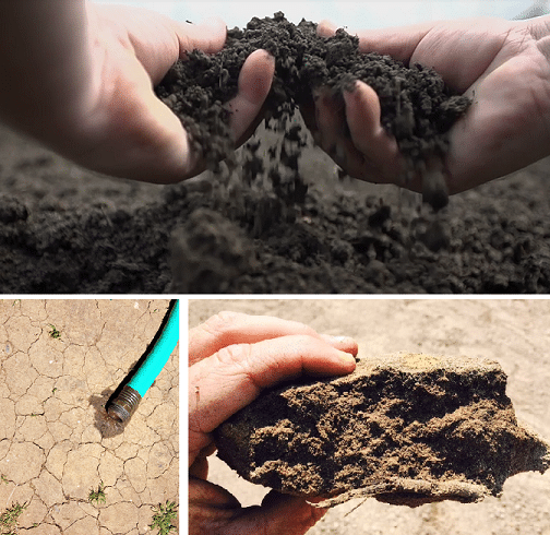 Analyse et amélioration de la qualité des sols pour une croissance optimale du gazon – Hortiplan Outaouais Gatineau, Chelsea
