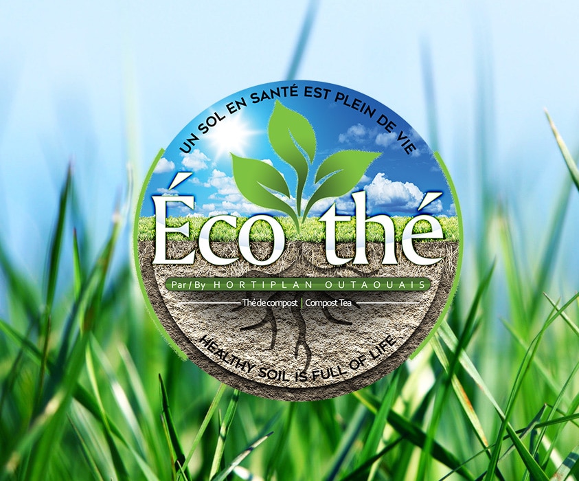 Éco-thé notre Thé de compost oxygéné par Hortiplan Outaouais – Solution biologique pour un sol vivant & une pelouse en santé