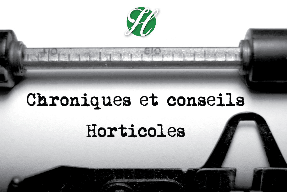 Nos blogues sur chroniques et conseils horticoles