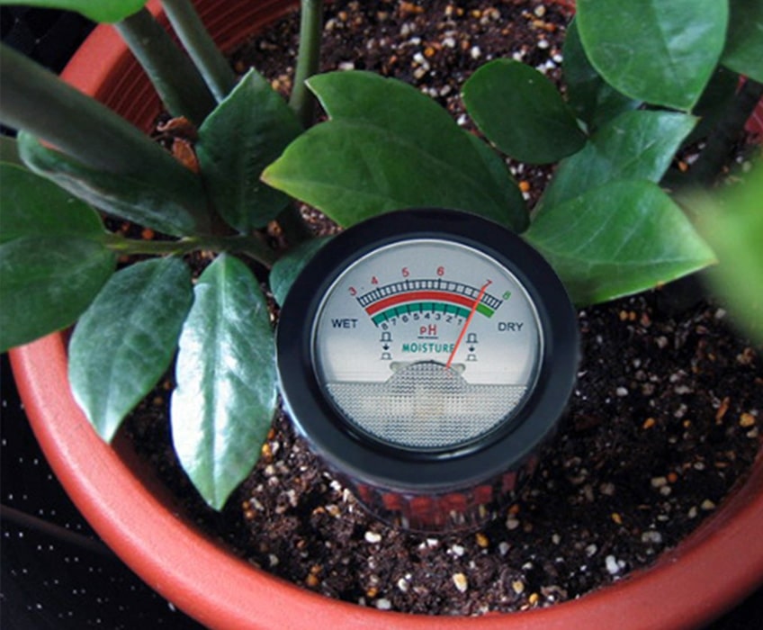 Analyseur d'humidité et pH du sol pour un entretien optimal des plantes et pelouses luxuriant avec Hortiplan Outaouais