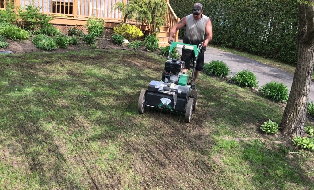 Réparation de la pelouse avec la méthode over seeding, qui permet d'insérer les graminées dans le sol sans enlever l'ancien gazon