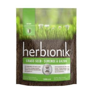 Semences à gazon Herbionik Eco Turf de Gloco – Mélange écologique avec trèfle blanc, faible entretien – Hortiplan