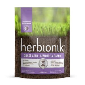 Semences à gazon Herbionik de Gloco Entretien Minimum – Gazon résistant, faible entretien, mélange écologique – Hortiplan