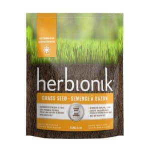 Semences à gazon Herbionik Germination Rapide de Gloco – Pousse en 7 jours, gazon dense et résistant – Boutique Hortiplan