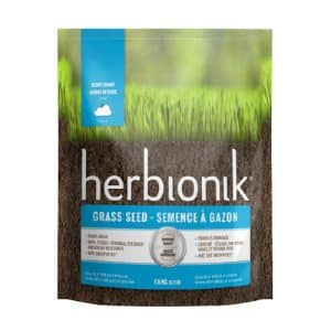 Semences à gazon Herbionik Ombre Intense – Gazon résistant aux zones ombragées, mélange de graminées adaptées – Hortiplan