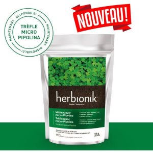 Semences Trèfle Micro Pipolina Herbionik | Couvre-sol écologique résistant, idéal pour pelouse durable et pollinisateurs
