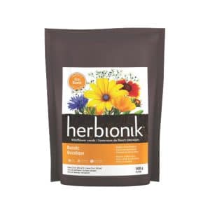 Semences Fleurs Bucolique Herbionik | Mélange floral champêtre idéal pour jardins naturels et attractifs pour pollinisateurs