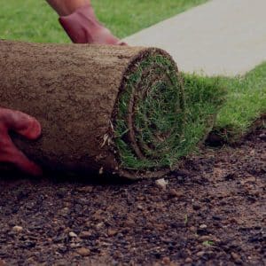 Pose de gazon en rouleau a Gatineau | Installation de tourbe pour une pelouse instantanée et un aménagement paysager durable