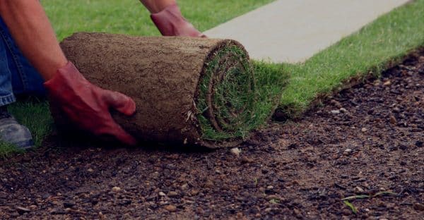 Pose de gazon en rouleau a Gatineau | Installation de tourbe pour une pelouse instantanée et un aménagement paysager durable