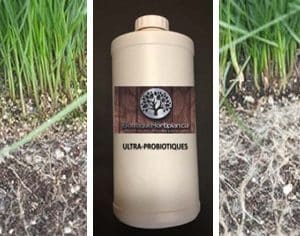 Biostimulant PROBIOZYME – Produit naturel favorisant un enracinement profond et une croissance saine du gazon et des végétaux