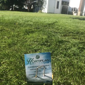 Pelouse rénovée par Hortiplan Outaouais – service entretien de pelouse écologique pour un gazon dense et verdoyant