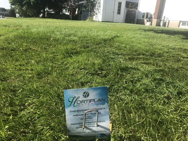 Pelouse rénovée par Hortiplan Outaouais – service entretien de pelouse écologique pour un gazon dense et verdoyant
