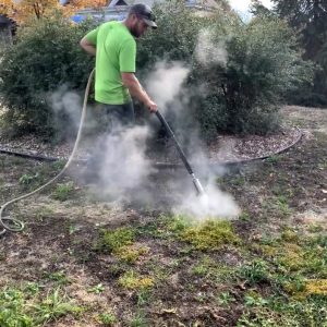 Désherbage écologique à l’eau chaude – Élimination des mauvaises herbes sans produits chimiques, méthode durable et efficace