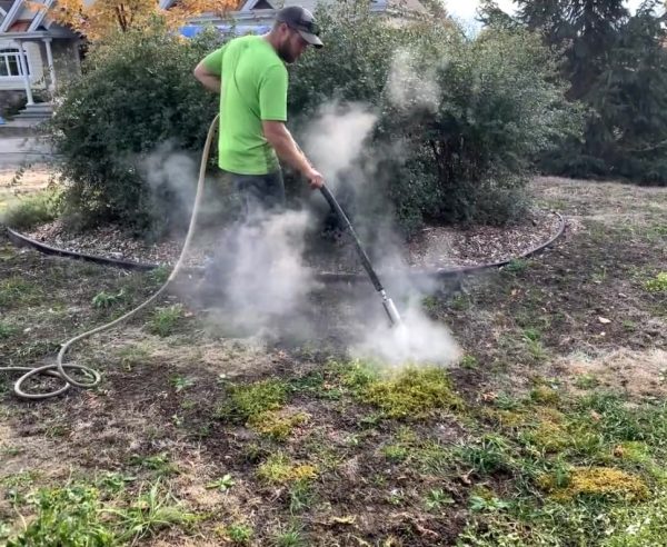 Désherbage écologique à l’eau chaude – Élimination des mauvaises herbes sans produits chimiques, méthode durable et efficace