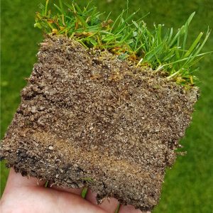 Analyse d’un échantillon de sol avec gazon | Diagnostic de la santé du sol pour une pelouse plus résistante par Hortiplan
