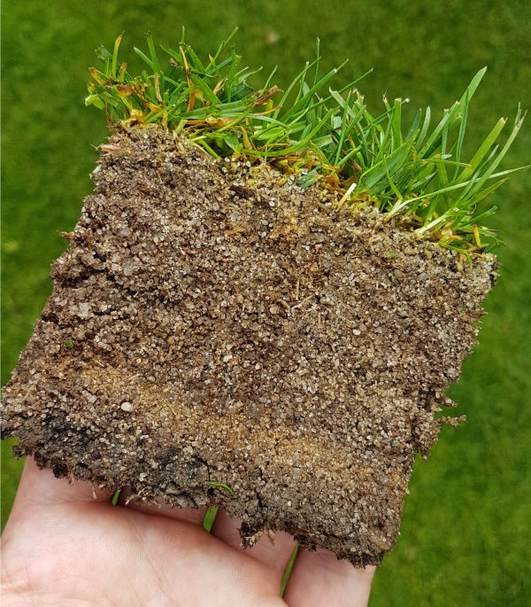 Analyse d’un échantillon de sol avec gazon | Diagnostic de la santé du sol pour une pelouse plus résistante par Hortiplan