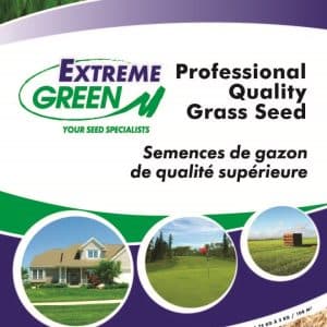Professional ecological coated grass seed with clover