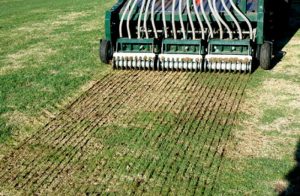 Slit-Seeding par Hortiplan revitalise les pelouses, combat les mauvaises herbes, avec semences spécialisées