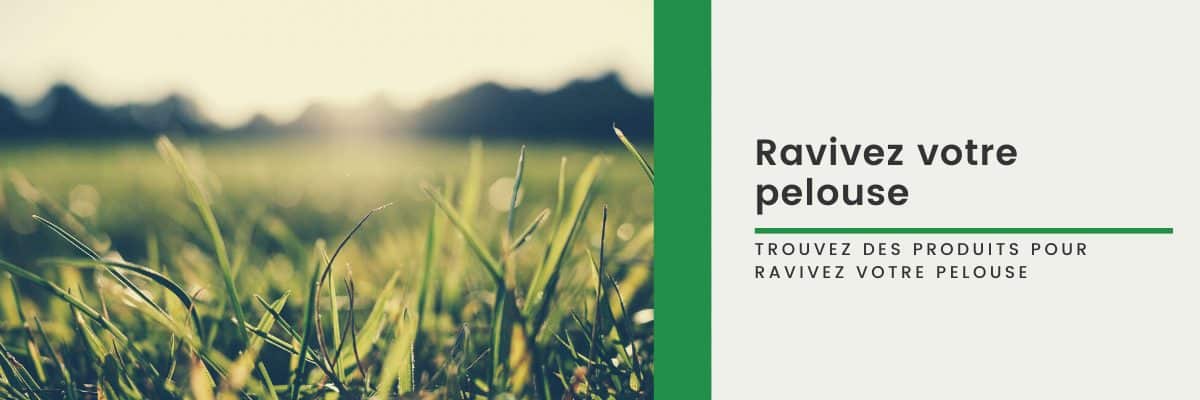 Bannière produits pour pelouse : semences, engrais et solutions écologiques pour un gazon verdoyant et résilient - Hortiplan