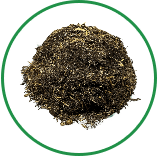Échantillon de Biotic Earth Black, un amendement de cellulose de sol biotique noir riche en nutriments, encerclé de vert, pour l'hydro-ensemencement