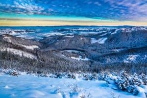 Paysage hivernal naturel en Outaouais, illustrant un écosystème forestier préservé et des pratiques de paysagement écologique.